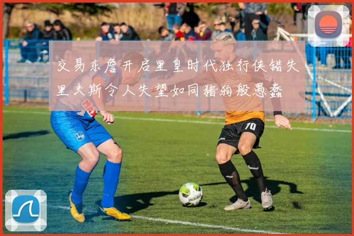 交易东詹开启里皇时代独行侠错失里夫斯令人失望如同猪狗般愚蠢